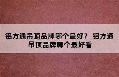 铝方通吊顶品牌哪个最好？ 铝方通吊顶品牌哪个最好看